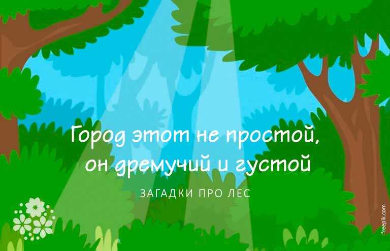 Викторина «про леса и лесные чудеса». воспитателям детских садов, школьным учителям и педагогам - маам.ру