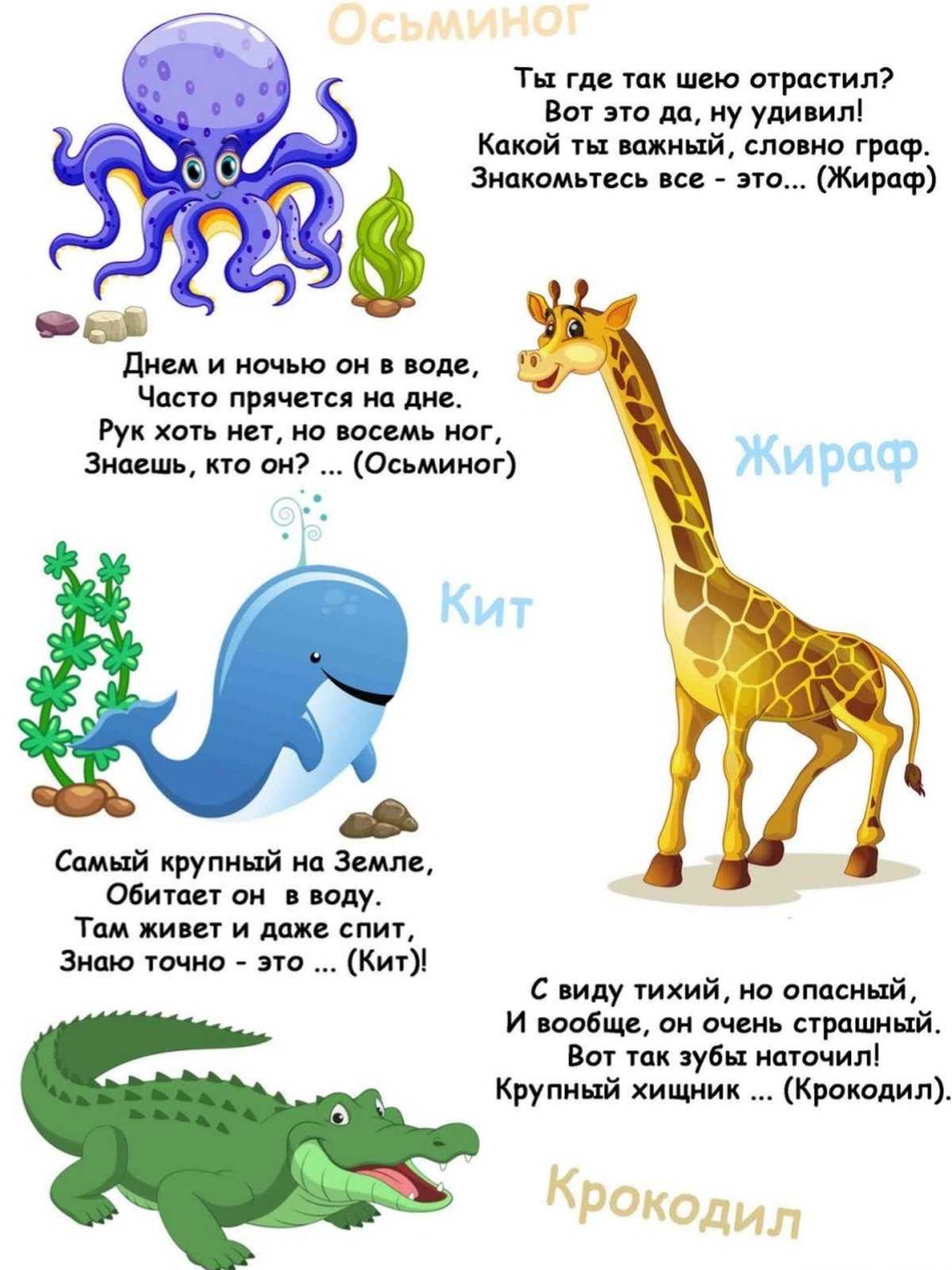 Время размять мозги: решаем задачи на логику | блог 4brain
