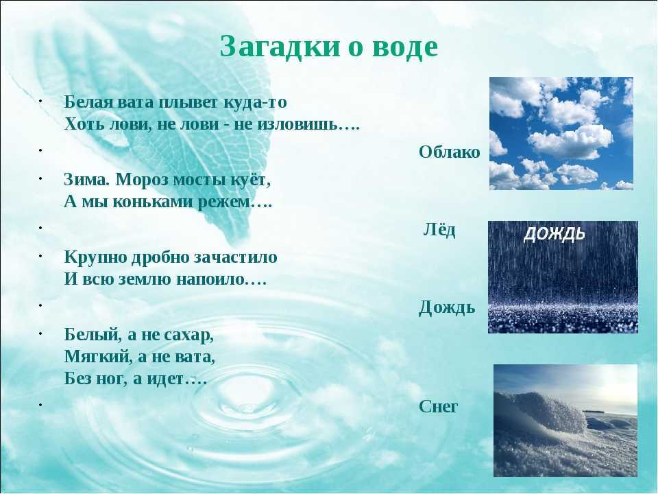 Загадки про русский язык с ответами – школьная программа – ladyvi.ru