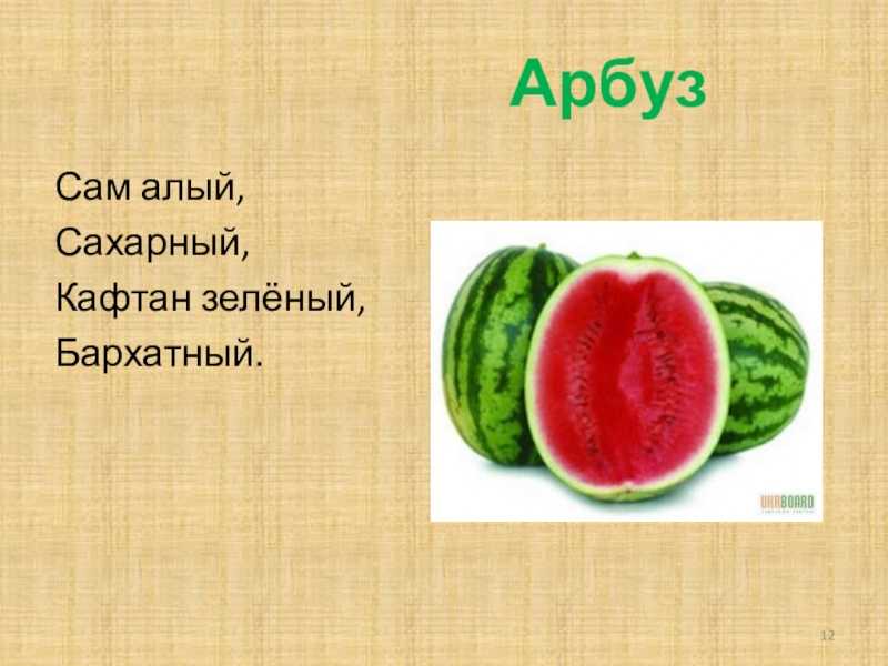 Забавные и увлекательные загадки про арбуз для маленьких ребят. загадки про арбуздля детей и взрослых