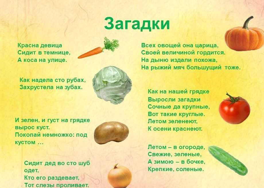 Загадки разных народов с ответами. загадки для детей и взрослых с отгадками. детские загадки. загадки онлайн бесплатно. русские, украинские загадки.