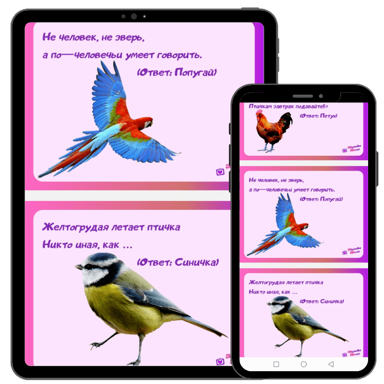 Загадки про птиц для детей с ответами: 235 лучших загадок про домашних, перелетных и зимующих птиц / mama66.ru
