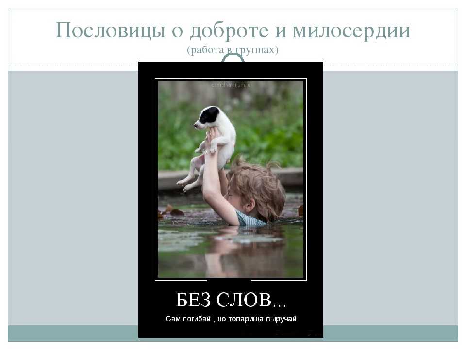 Милосердие никогда не пропадет зря смысл пословицы