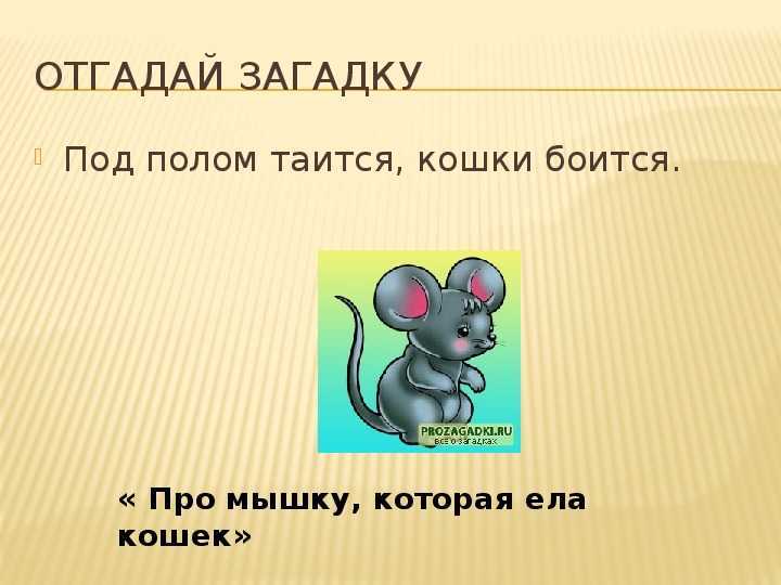 Загадки на внимательность — с ответами