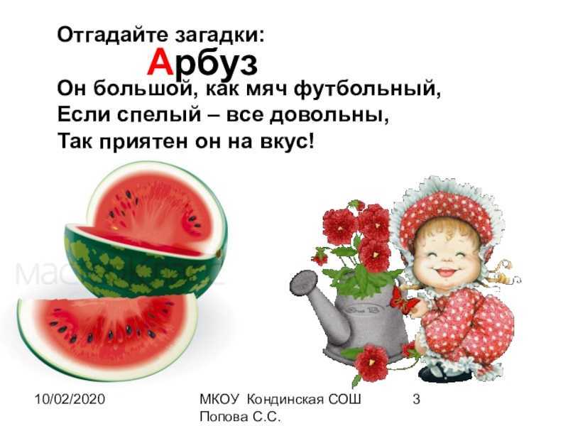 Загадки про арбуз для детей
