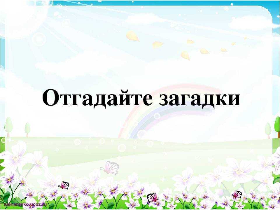 Школьные загадки с ответами: про школу, учеников, школьные принадлежности, предметы