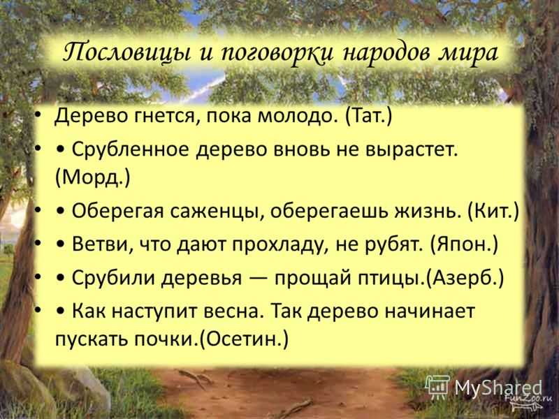 Пословицы и поговорки народов мира