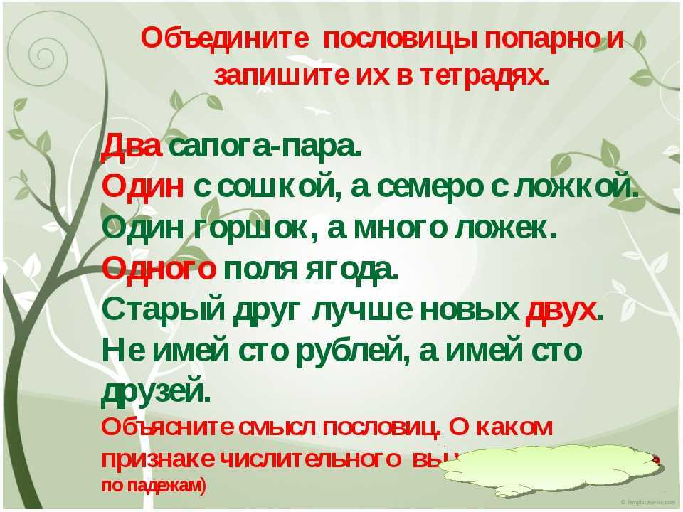 Числительные в пословицах: мудрость в цифрах