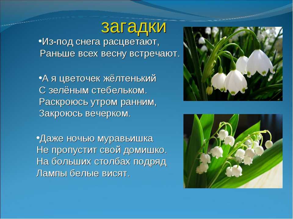 Загадки про весну с ответами - короткие для детей дошкольников 3-4 лет и сложные для школьников 6-7 лет