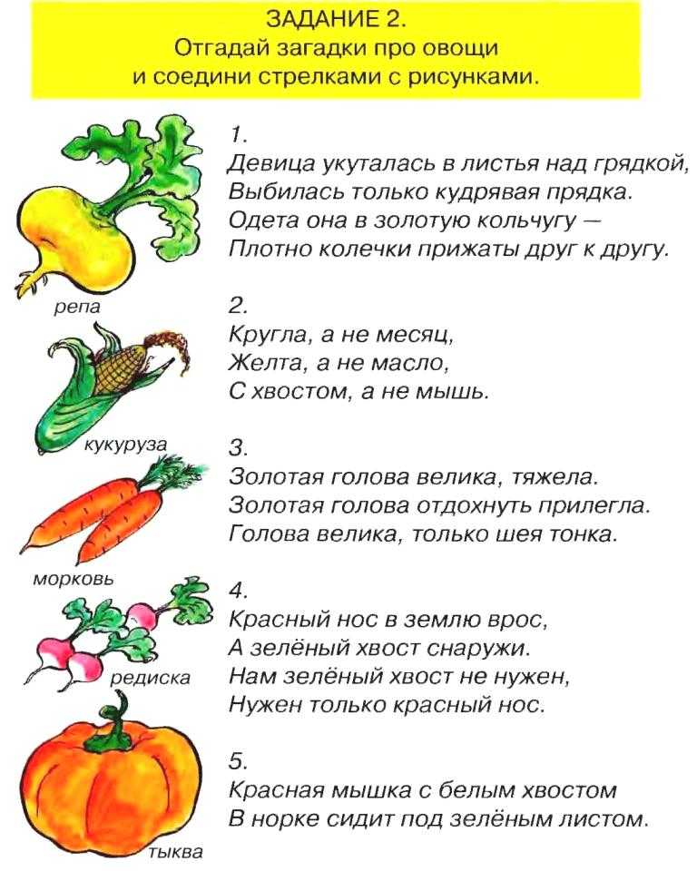 Загадки для детей 5-6-7 лет с ответами