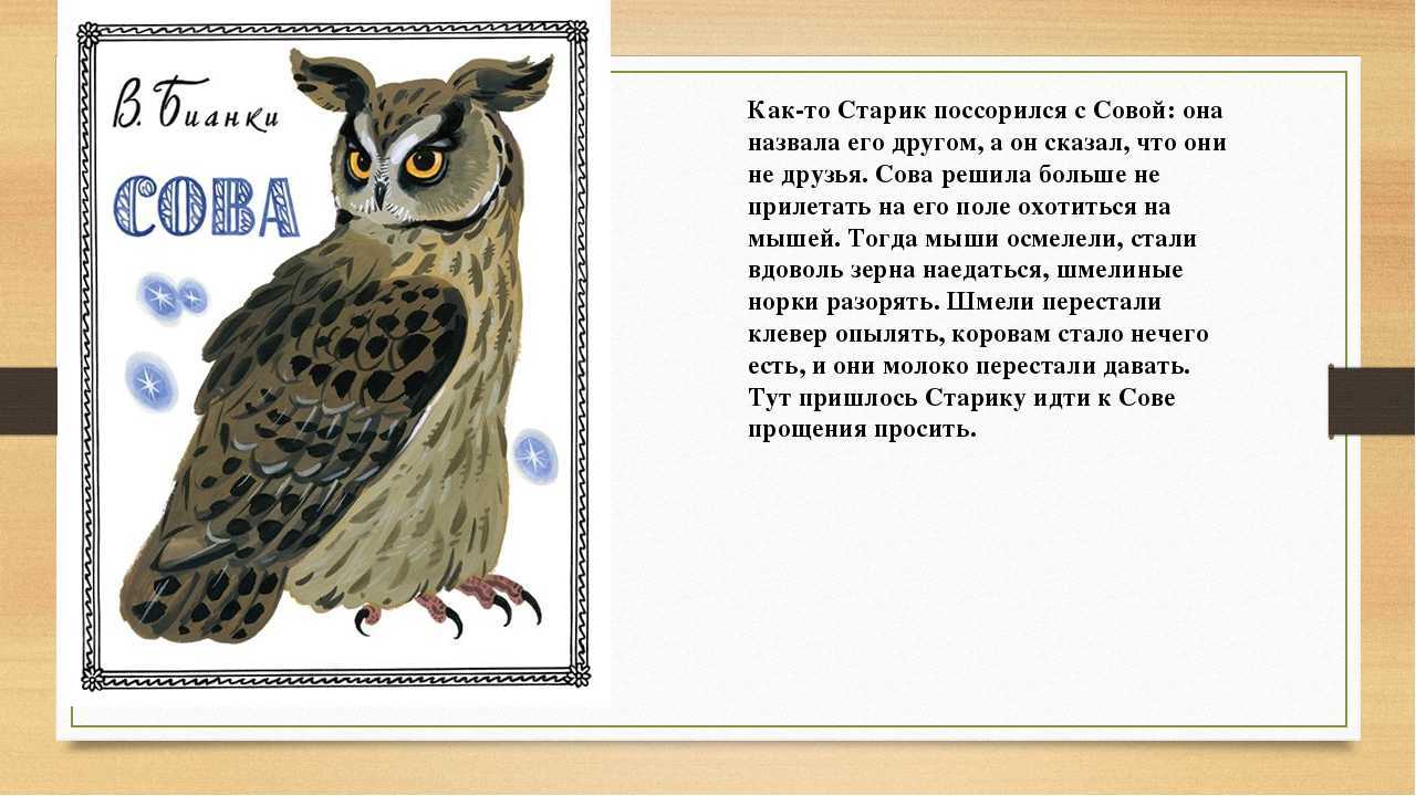 Рассказы бианки для детей 1-3 класса