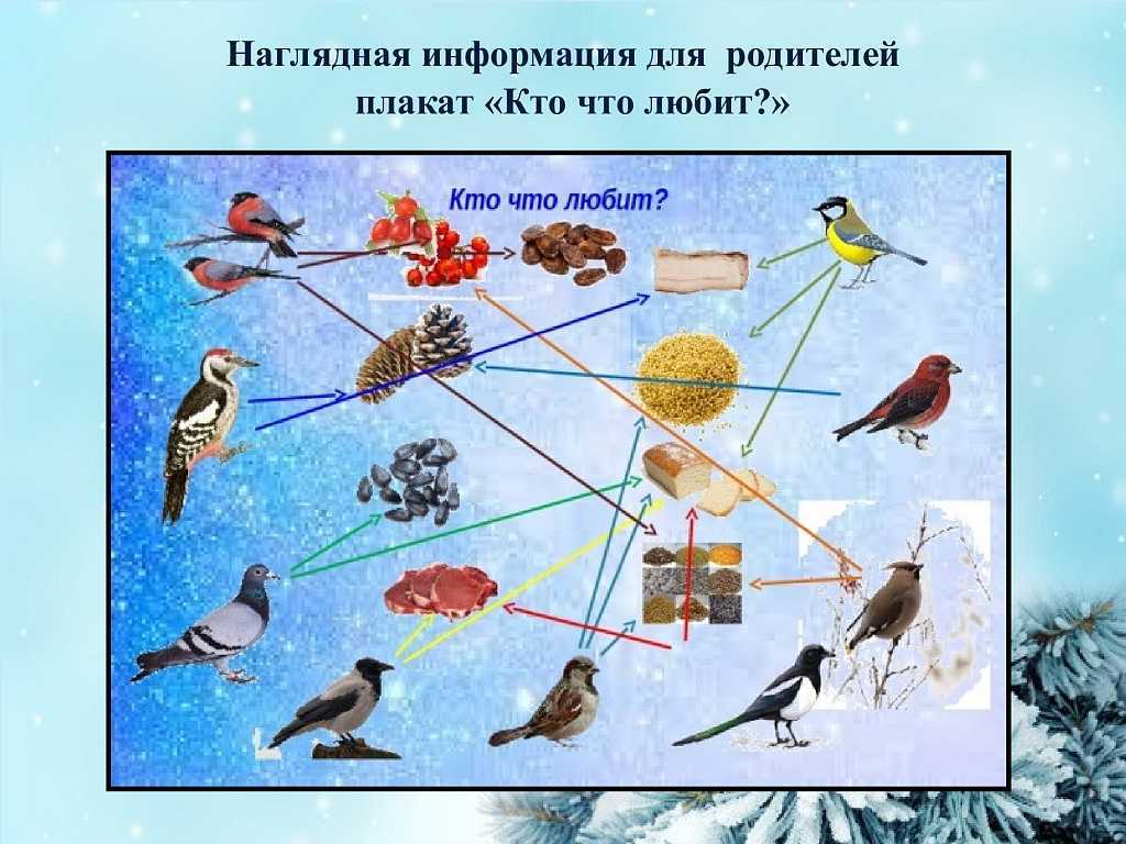 Лучшие загадки для детей 5-6 лет с ответами (можно распечатать!)
