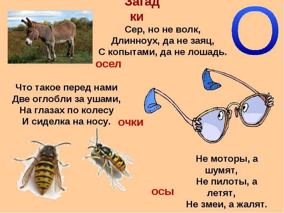Загадки про буквы для детей с ответами