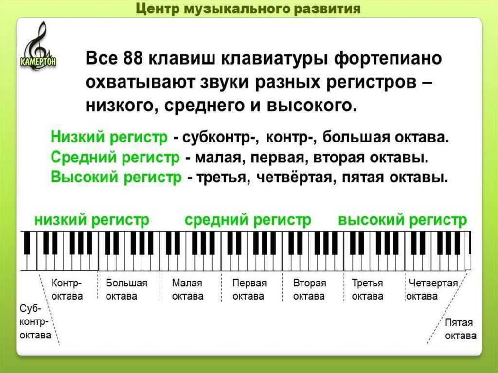 Давид самойлов - сказка "у слоненка день рождения!" №8557689 - прослушать музыку бесплатно, быстрый поиск музыки, онлайн радио, cкачать mp3 бесплатно, онлайн mp3 - dydka.net