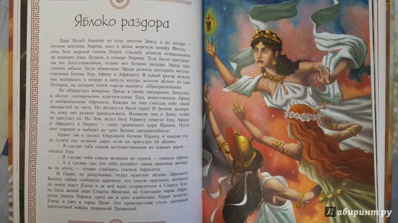 Как нарцисс погубил эхо: трагическая история о любви и одержимости