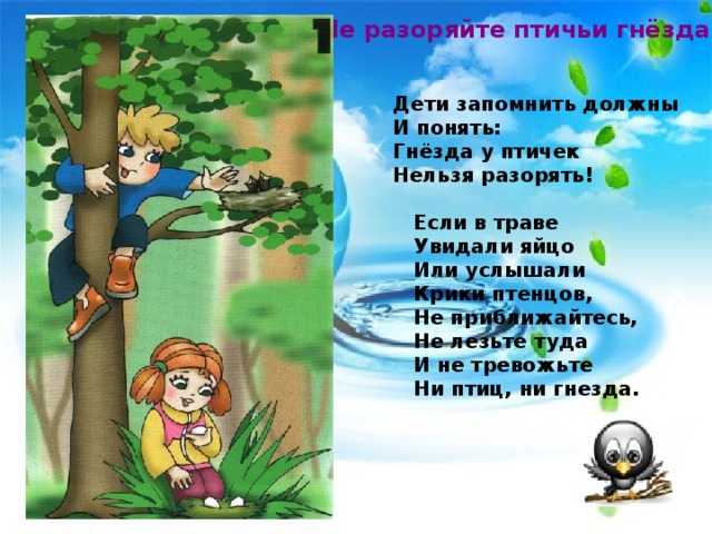 Тренировка мозга: выучить 10 стихотворений