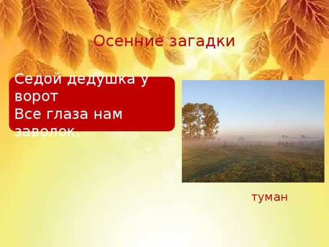 Загадки про туман для детей