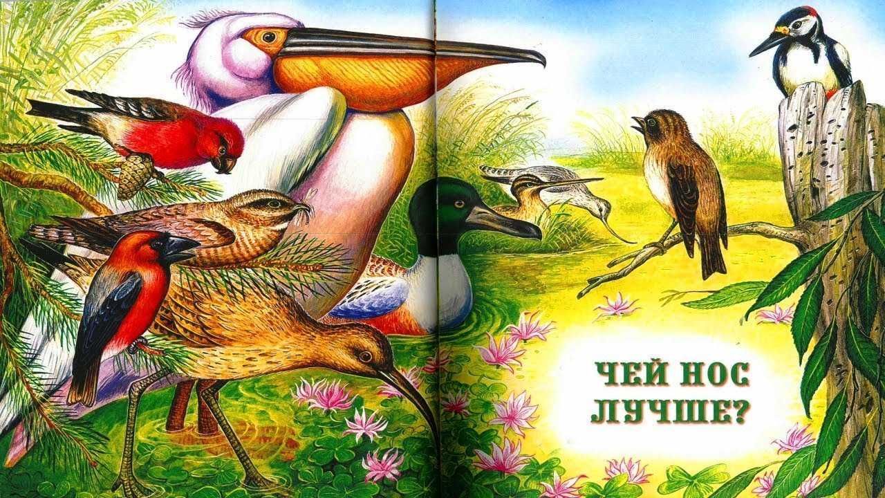 Чей нос лучше? - рассказ виталия бианки читать с картинками