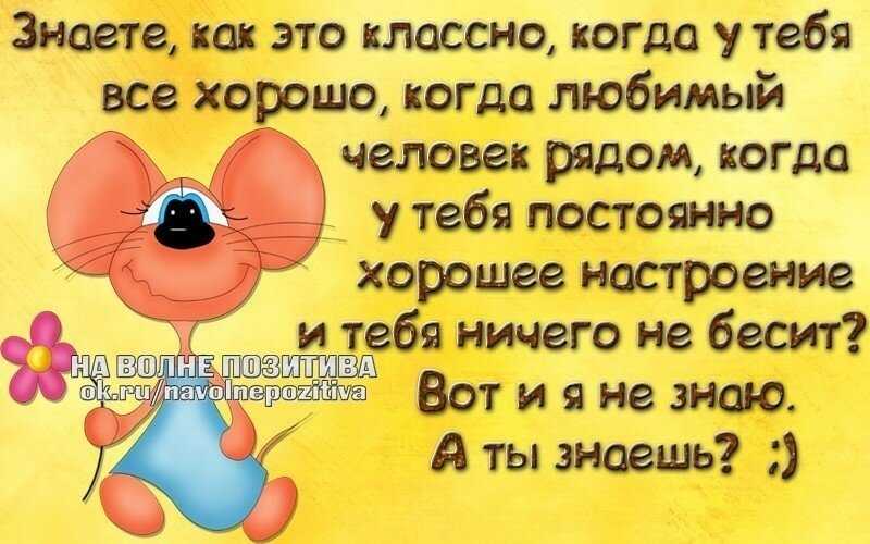 Рыжее настроение - литература - стихи