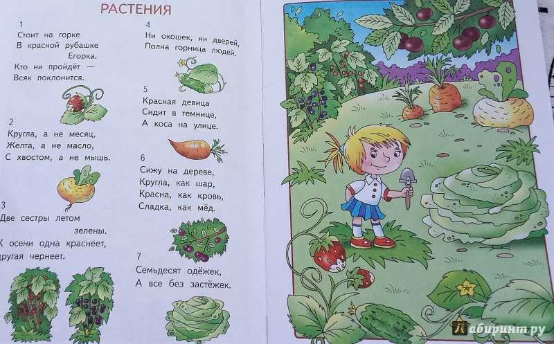 Загадки о школе – веселое занятие для детей