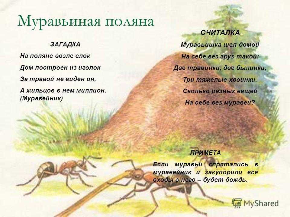 100 хитрых загадок, которые с лёгкостью отгадывали советские школьники