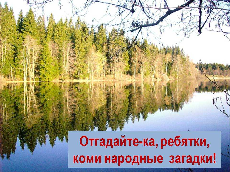 Что такое олицетворение? (как отличить от метафоры + анализ стихов)