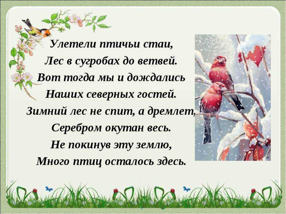 Журнал "культура и общество"						  » птицы зимой, новые стихи и проза