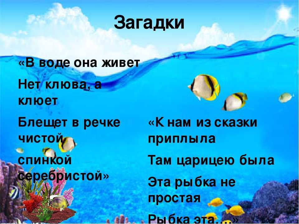 Время размять мозги: решаем задачи на логику