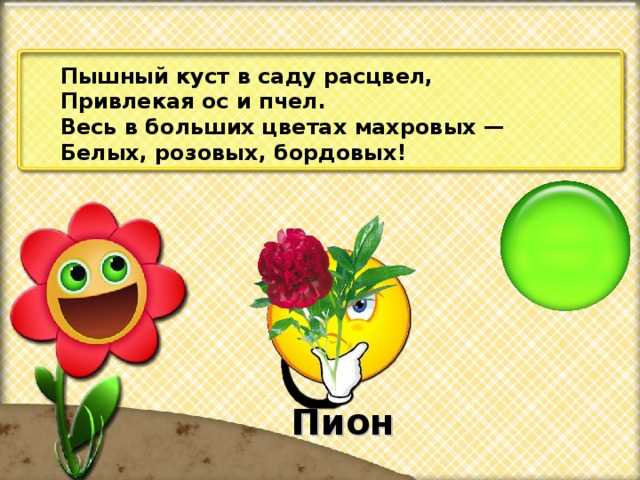 Поздравительные открытки с пионами - красивые открытки с букетами пионов