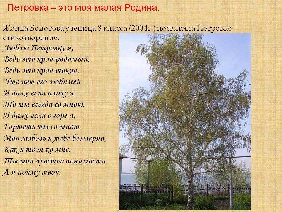 Стихи о родном языке