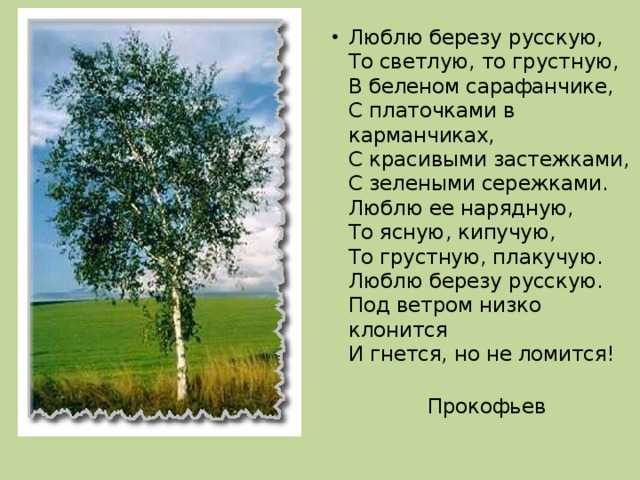 Стихи для детей
