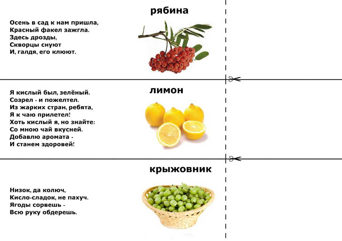 Народные загадки для 1-2 класса с ответами
