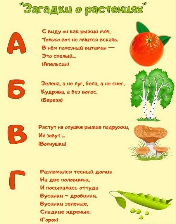 Русские народные загадки о растениях, животных, человеке, явлениях природы, технике и труде, учебе и отдыхе