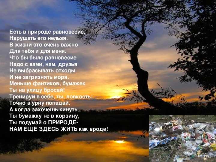 Стихи про природу короткие и красивые