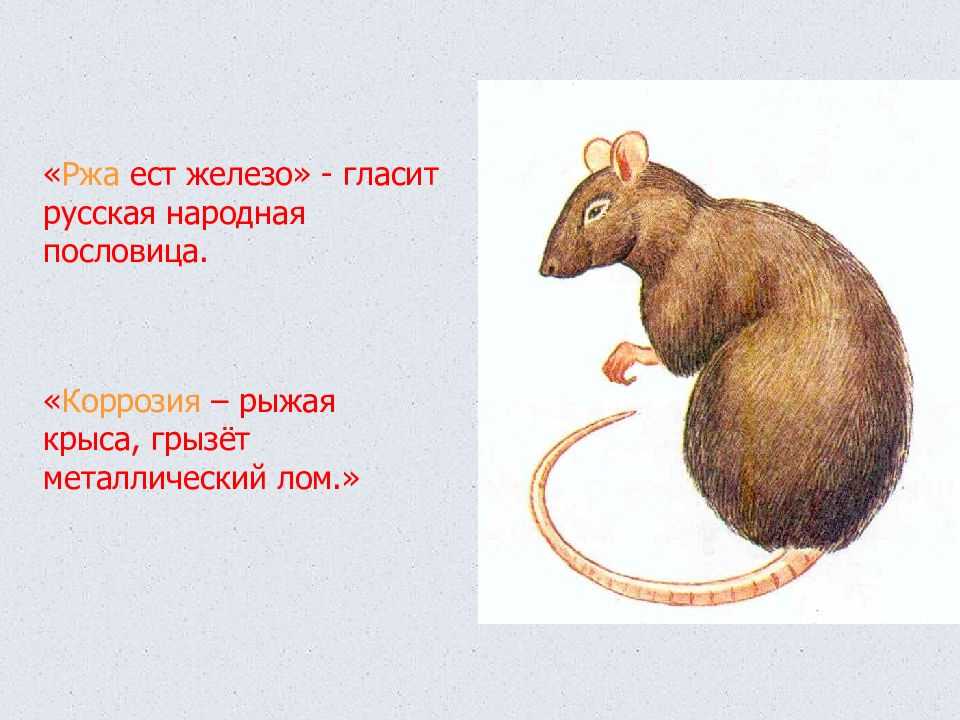 Загадки по сказкам