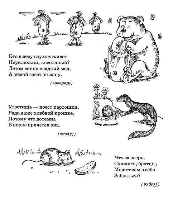 25 самых сложных загадок для детей