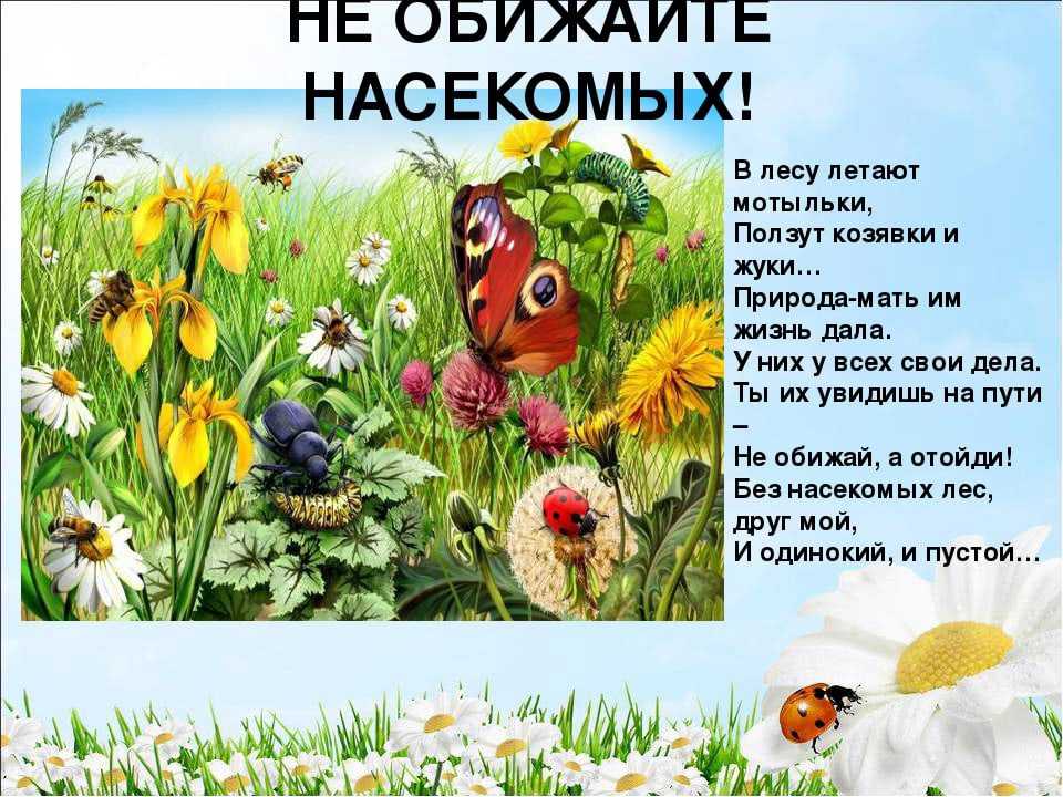 Стихи про лошадей. песни про коней и лошадок