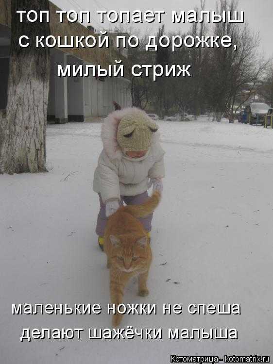 Шуточные детские песенки