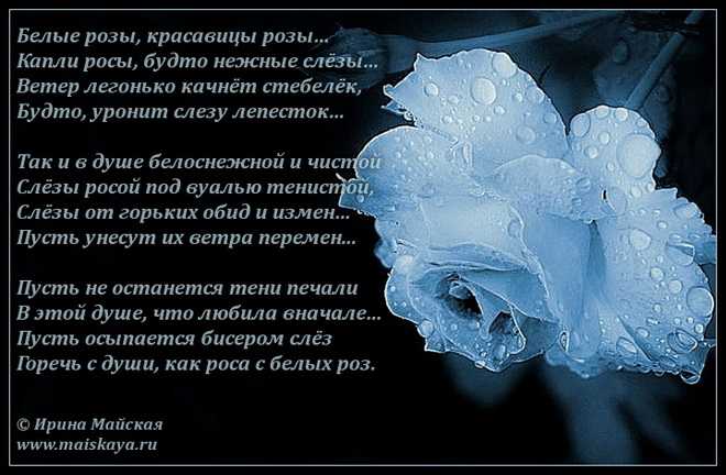 Стихи про розы — цветочная поэзия для детей и подростков
