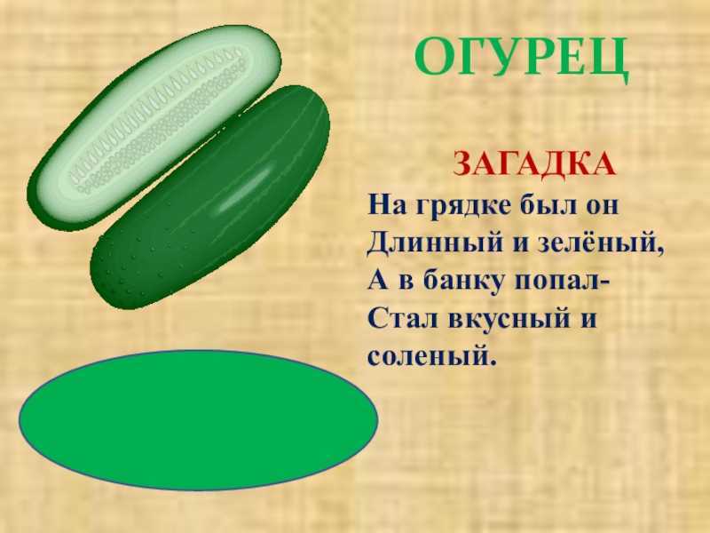 Загадки про овощи для детей: 200 лучших загадок с ответами - blog-dm.ru