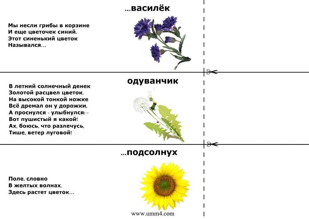 Интересные загадки на логику - с ответами