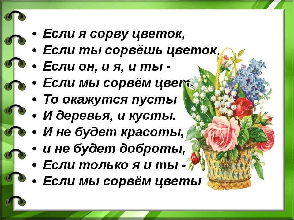 Сборник красивых стихотворений про цветы для детей Читайте с вашим ребенком короткие стихи про любимые детьми цветы Стихи про полевые цветы, букеты, розы