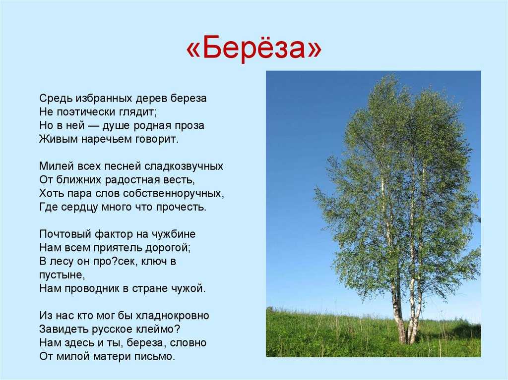 Короткие стихи о природе