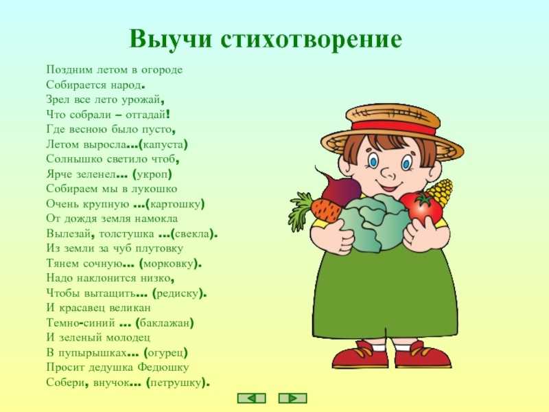 Как быстро и хорошо запомнить текст | блог 4brain