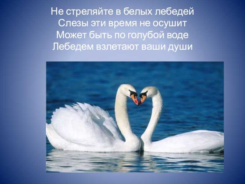 Красивые и трогательные до слез стихи про маму (для взрослых и детей)