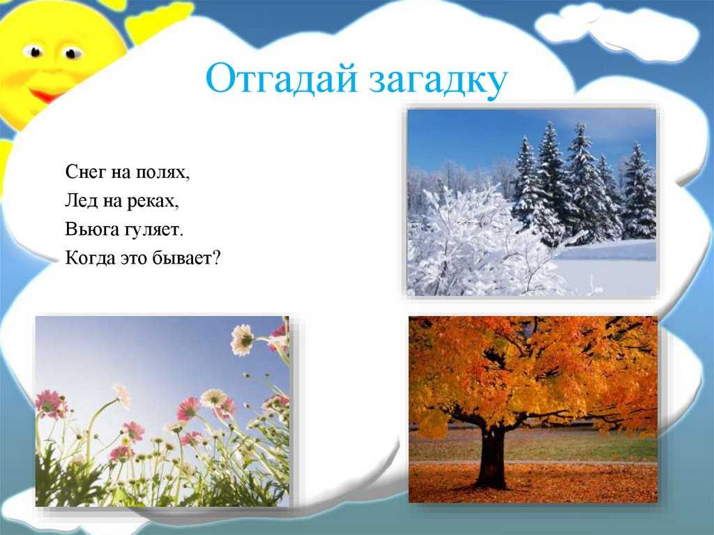 Загадки для детей
