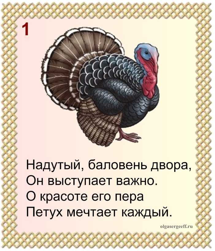 Загадки про цыпленка с ответами - я happy мама