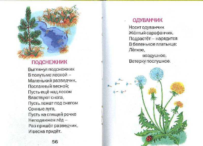 Стихи про одуванчик для детей - короткие красивые детские стихи для 3-4-5 лет -стихи для детей
