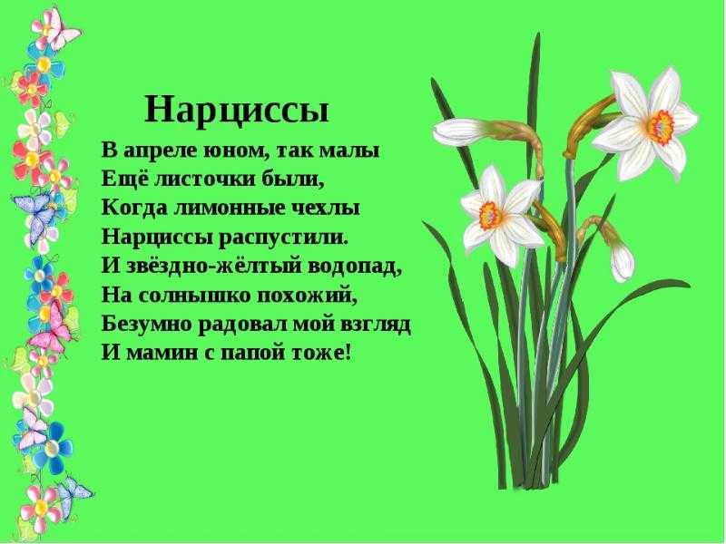 И льется музыка цветов… пусть подарят настроение стихи о цветах