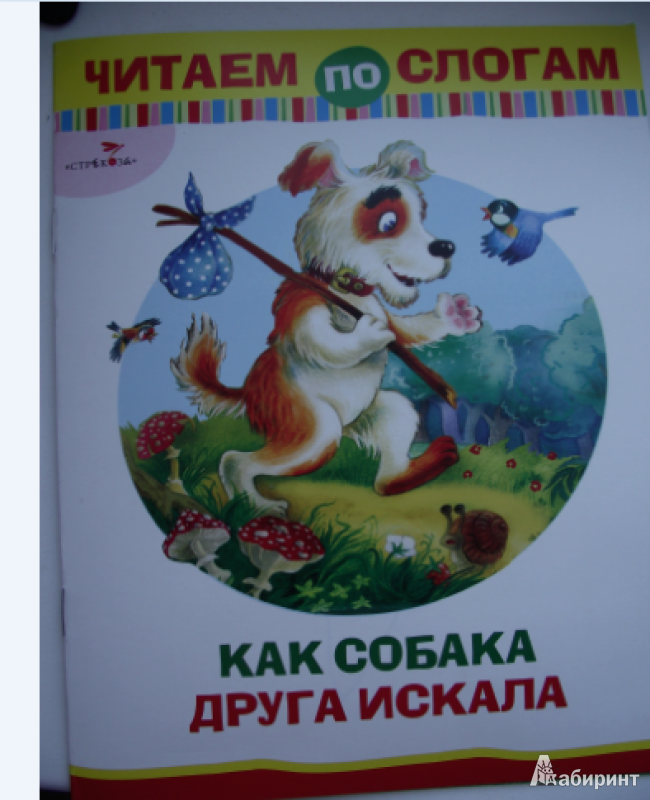 Сказка
					как собака друга искала